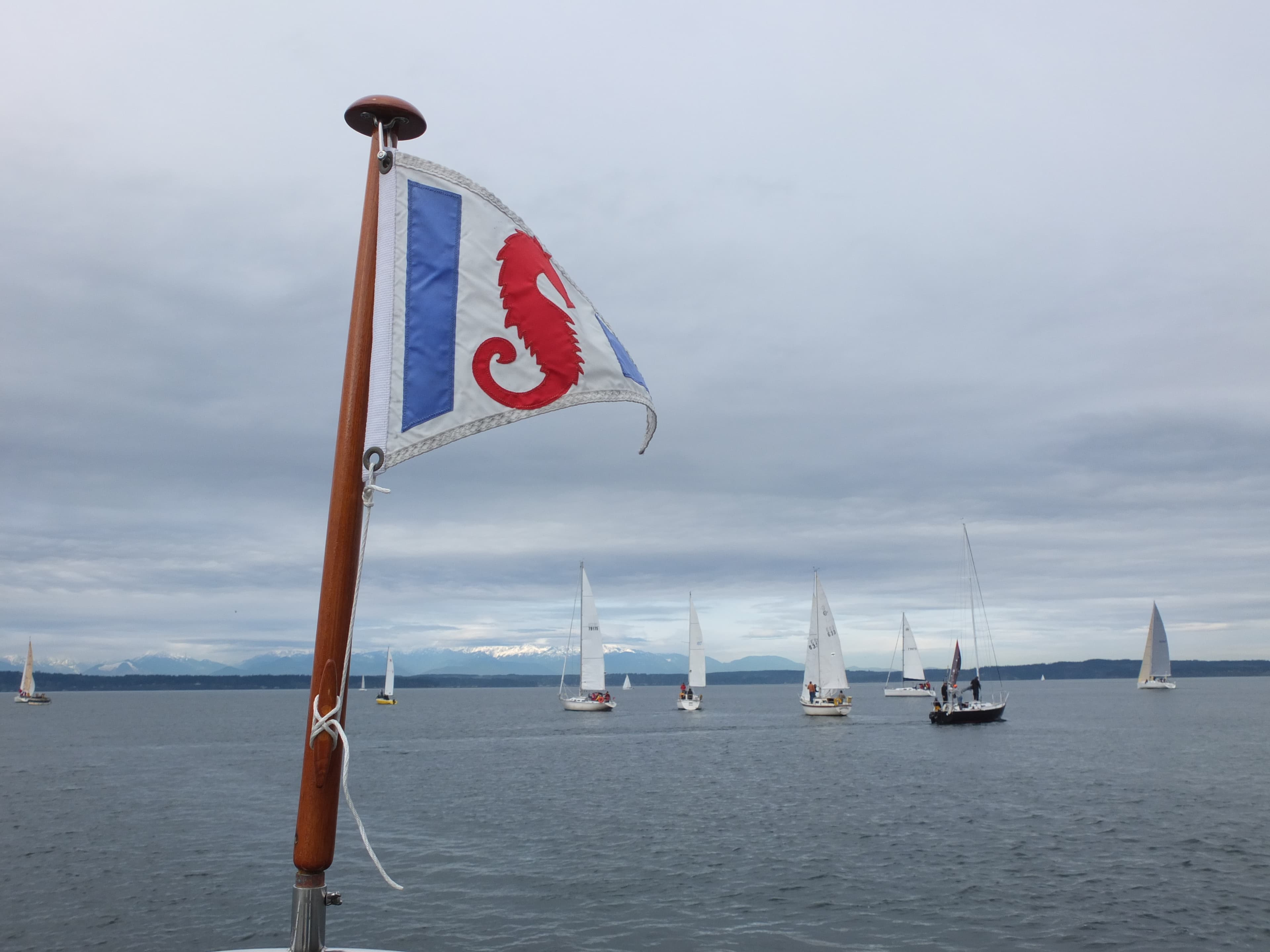 Today I ran my first sailboat race!