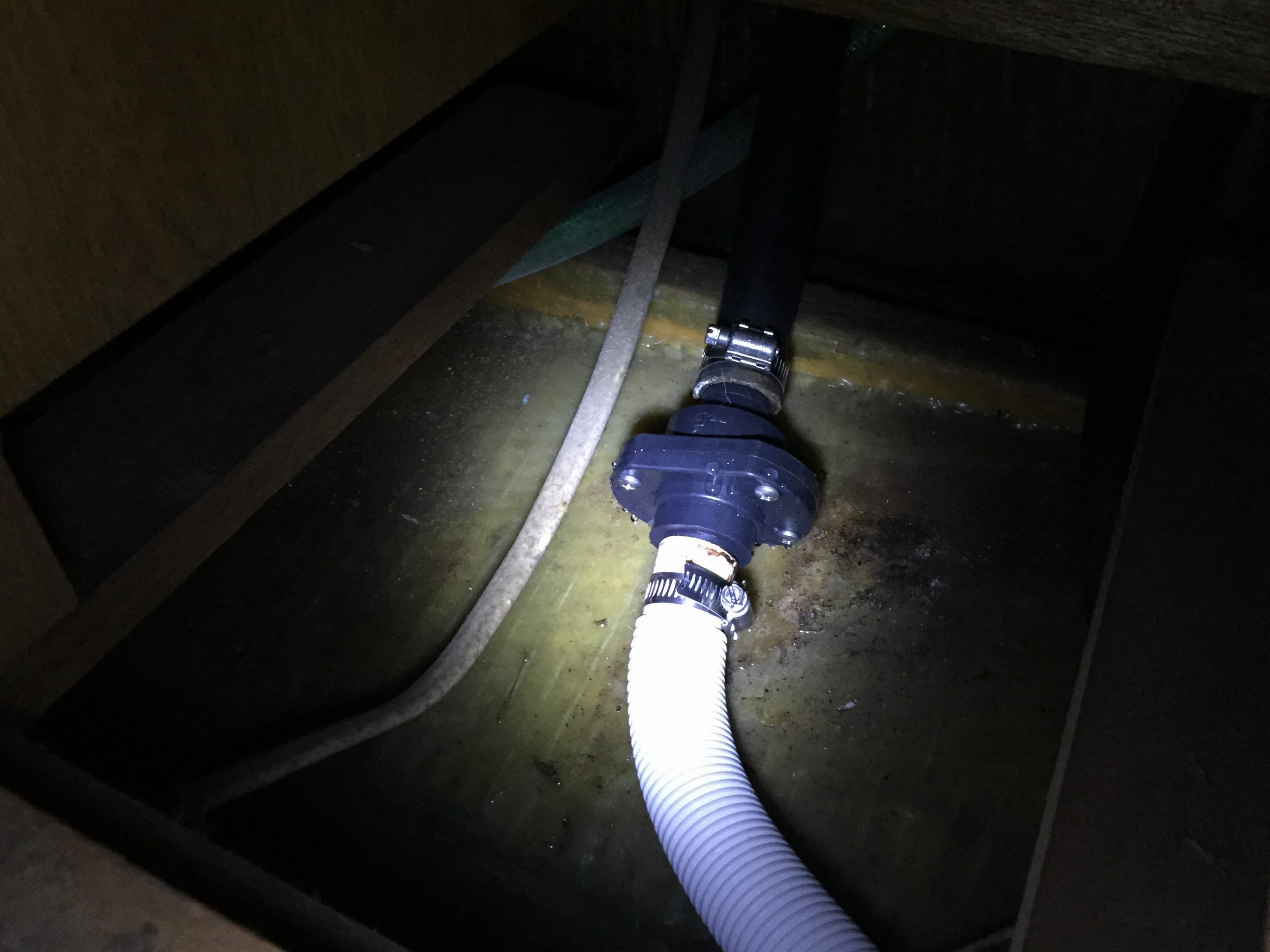 Installing a shower check valve