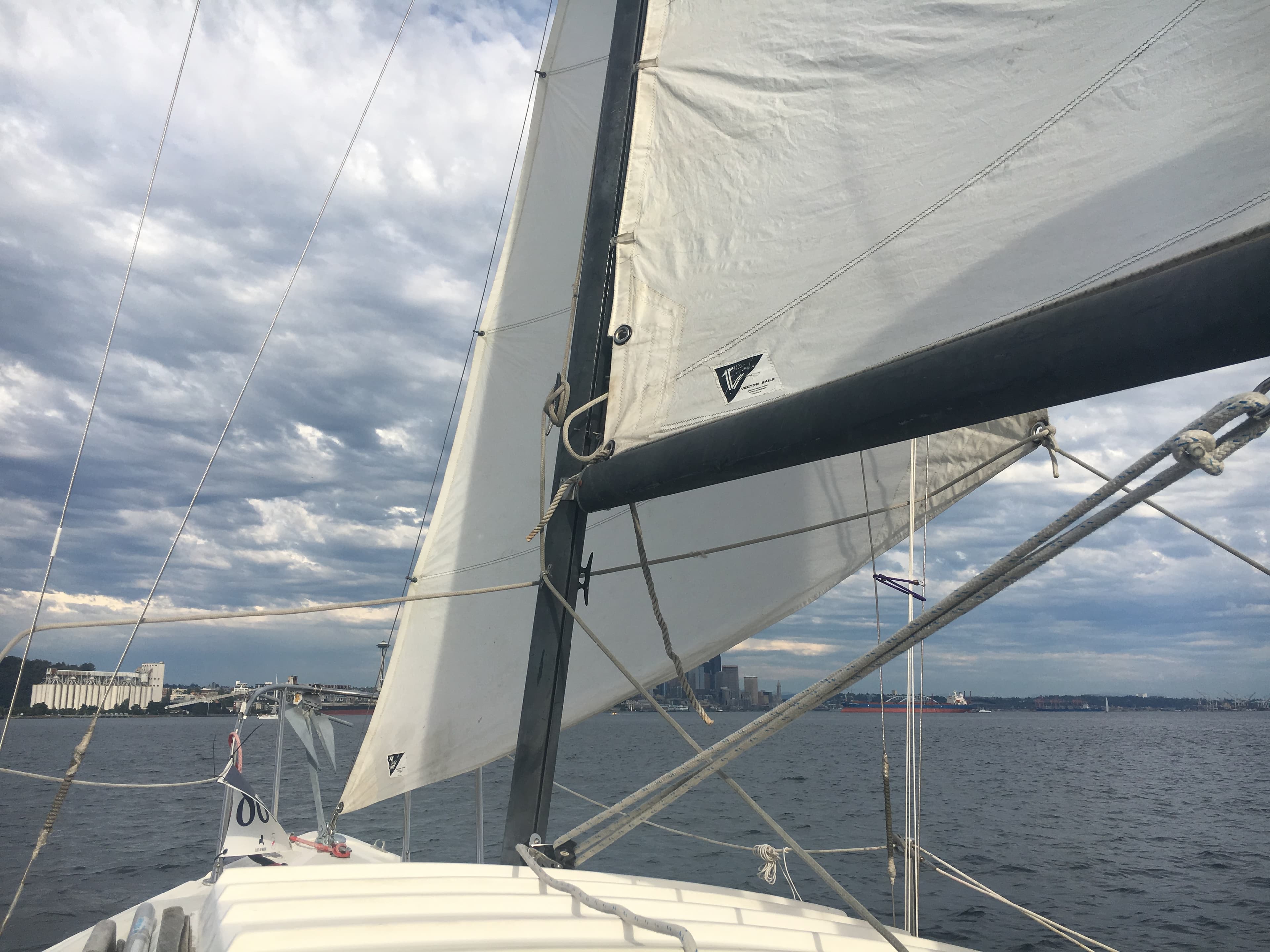 Zippey’s first official race!
