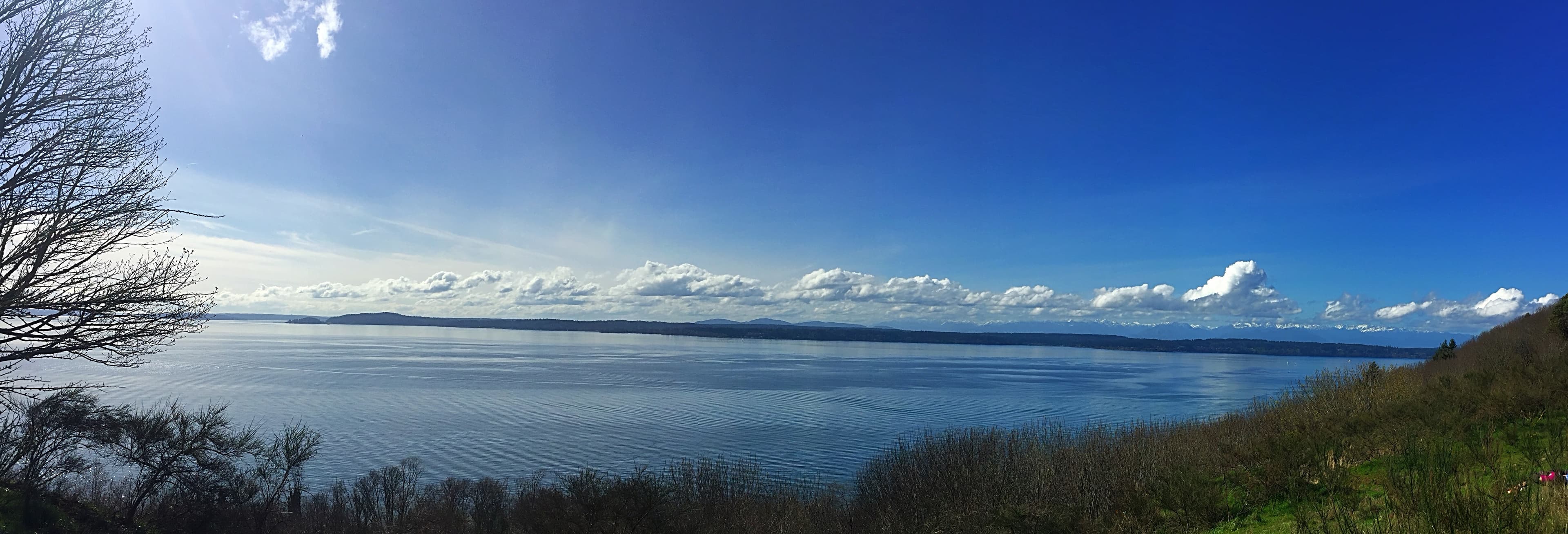 A beautiful stroll in Discovery Park