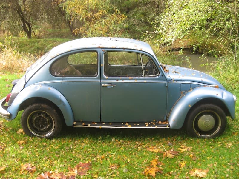 My First Bug