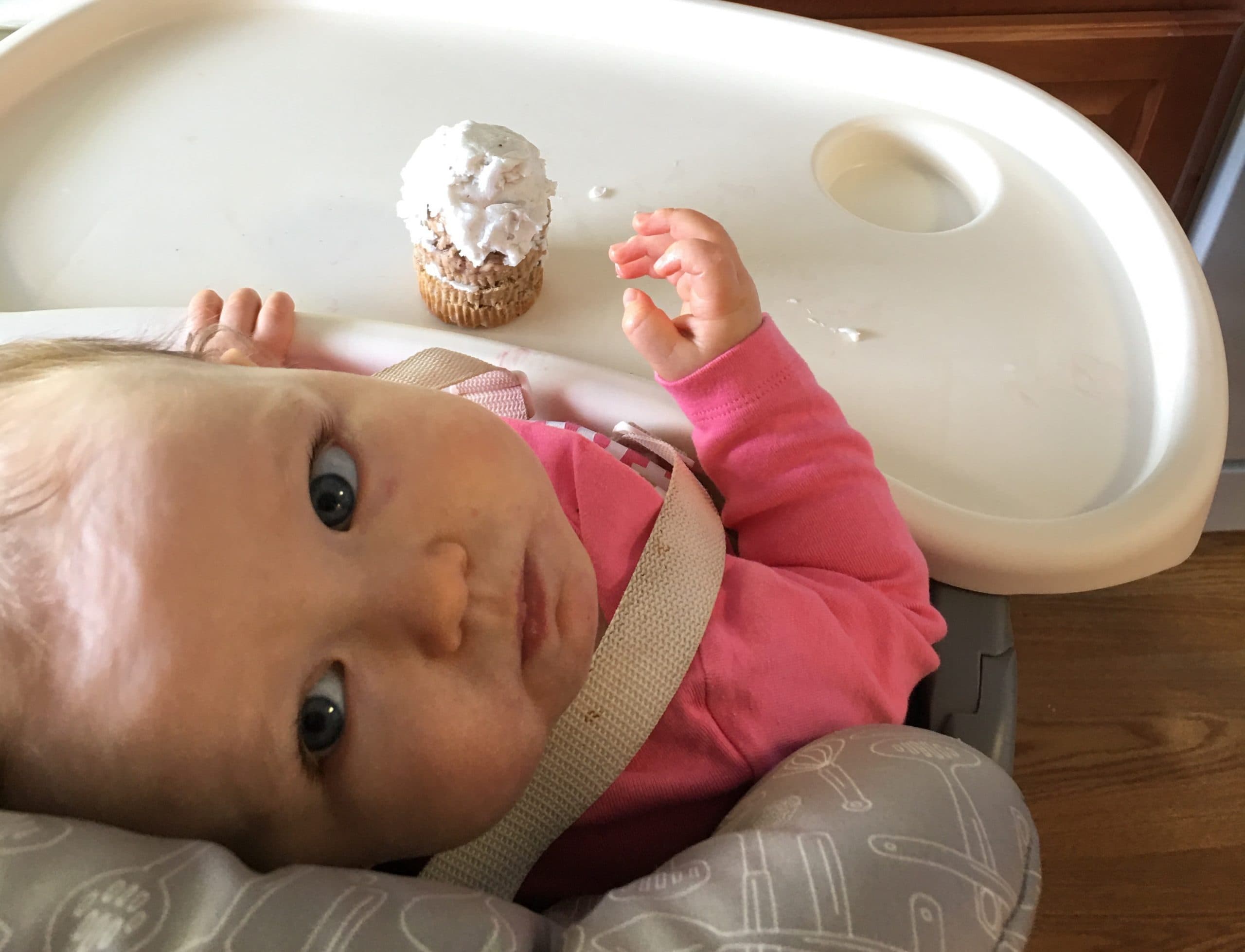 Clara's First Birthday