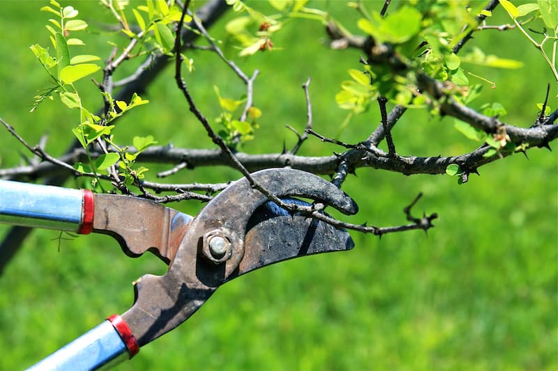 Cleanup and remove all merged local and remote git branches