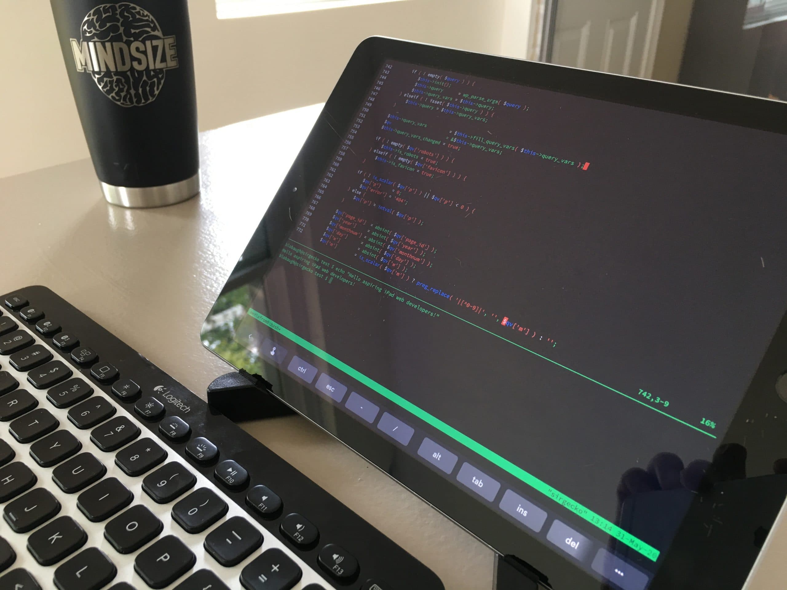 Using An iPad For Web Development