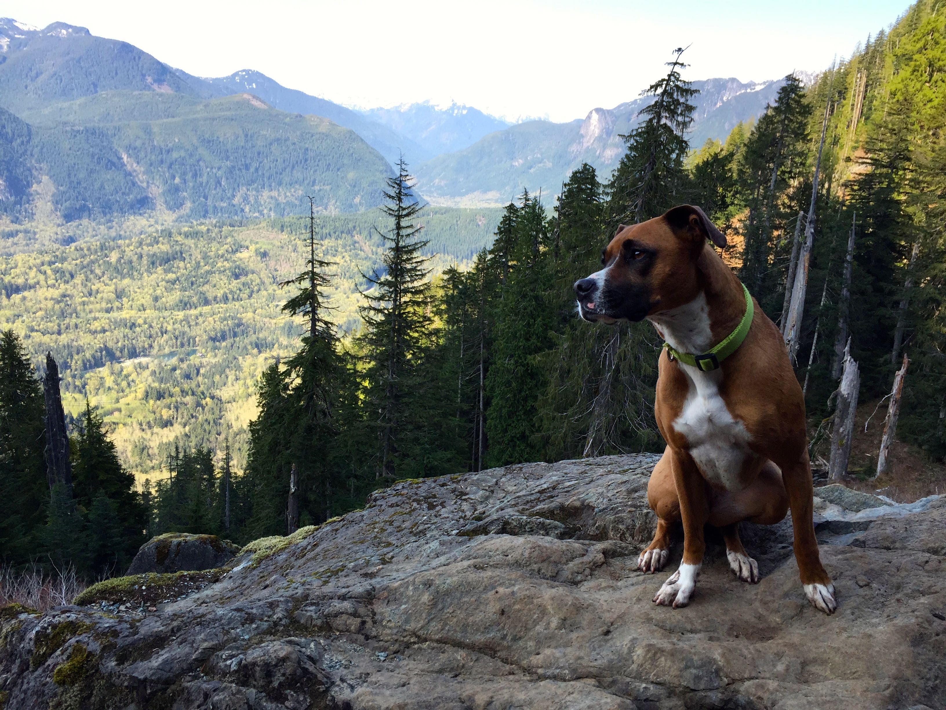 Hiking Lake Serene with Bella and Nalu