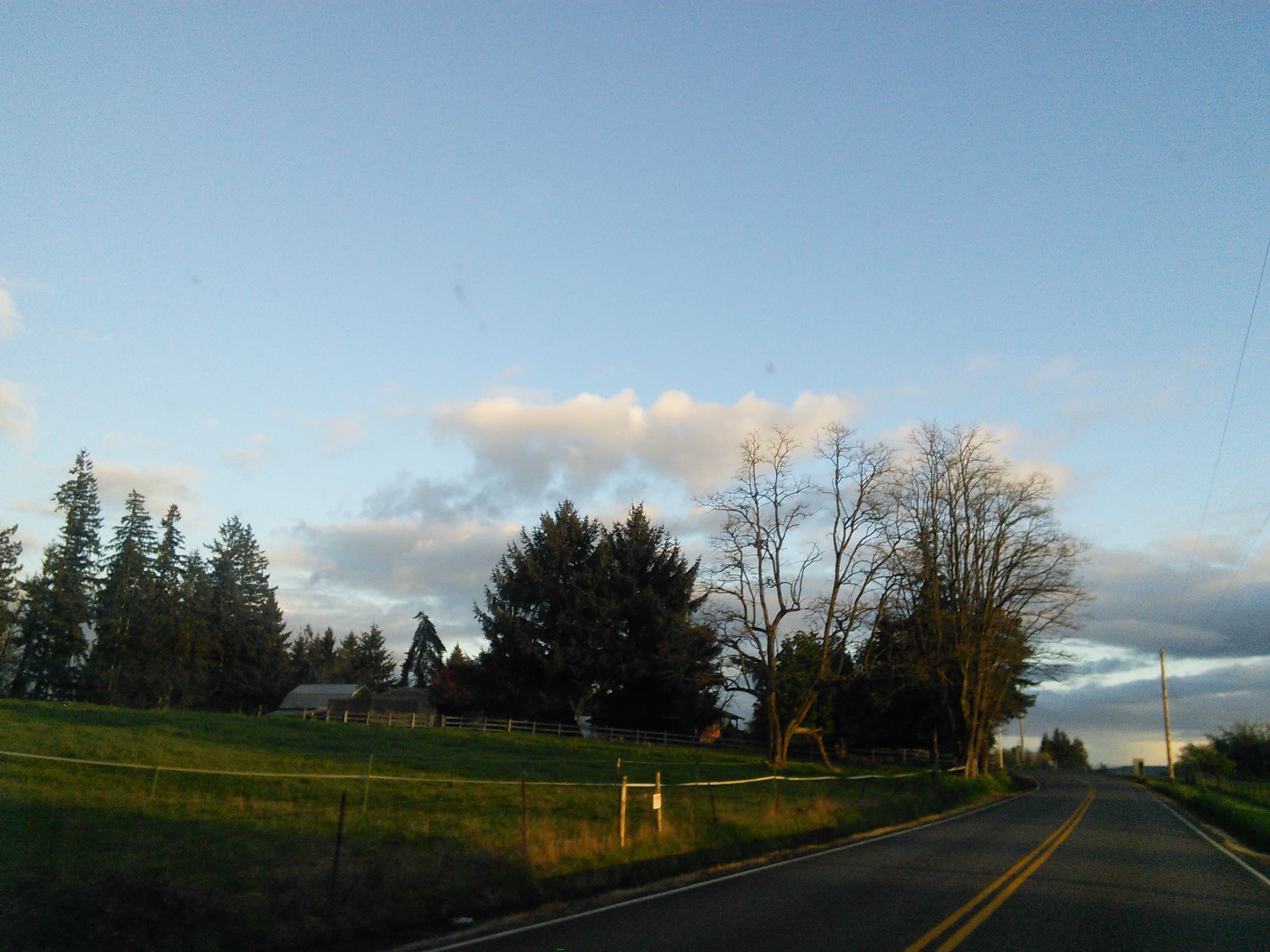 New old photos of Lewis County, WA from a Nexus 7