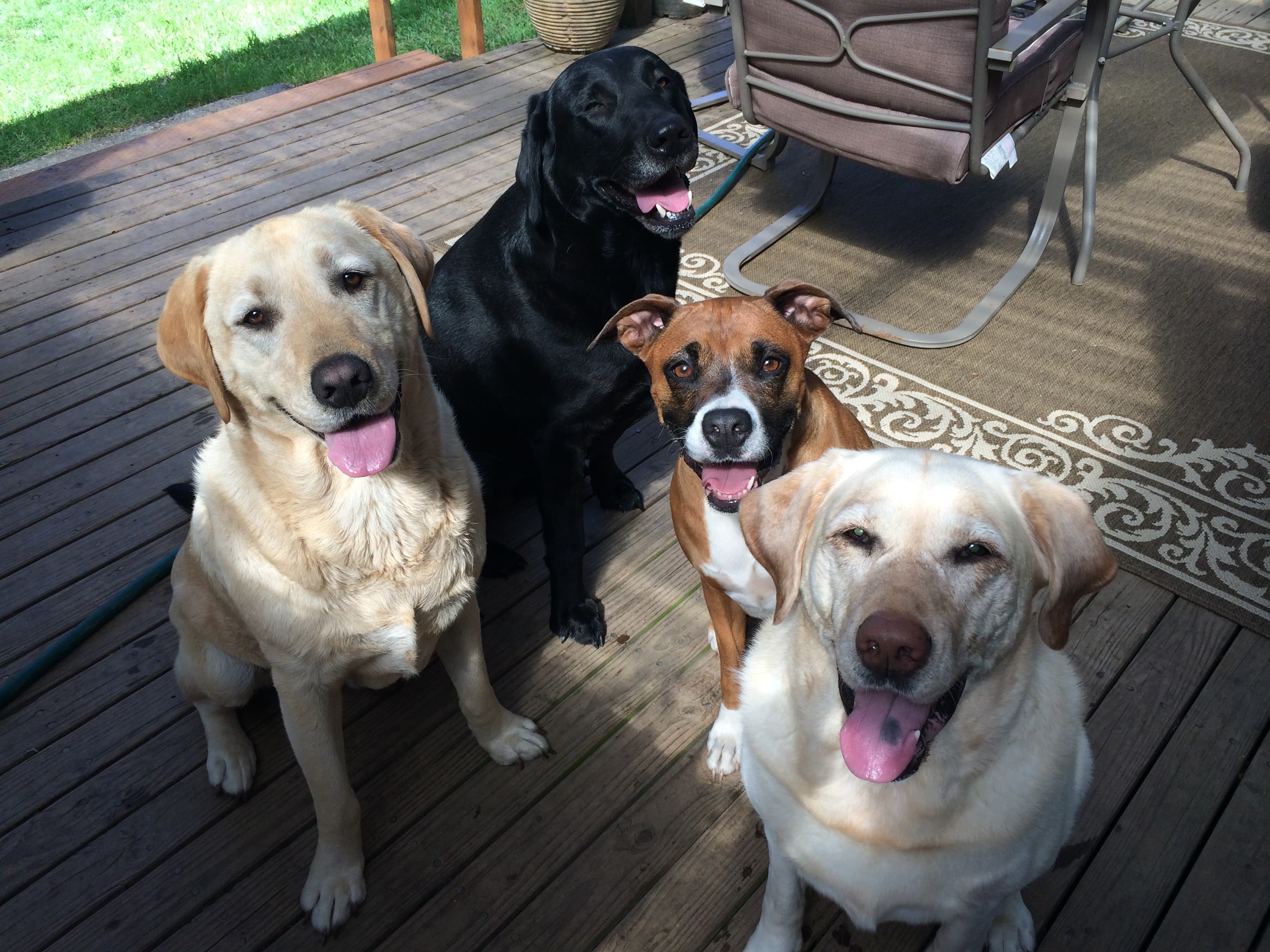Hanging out with the family