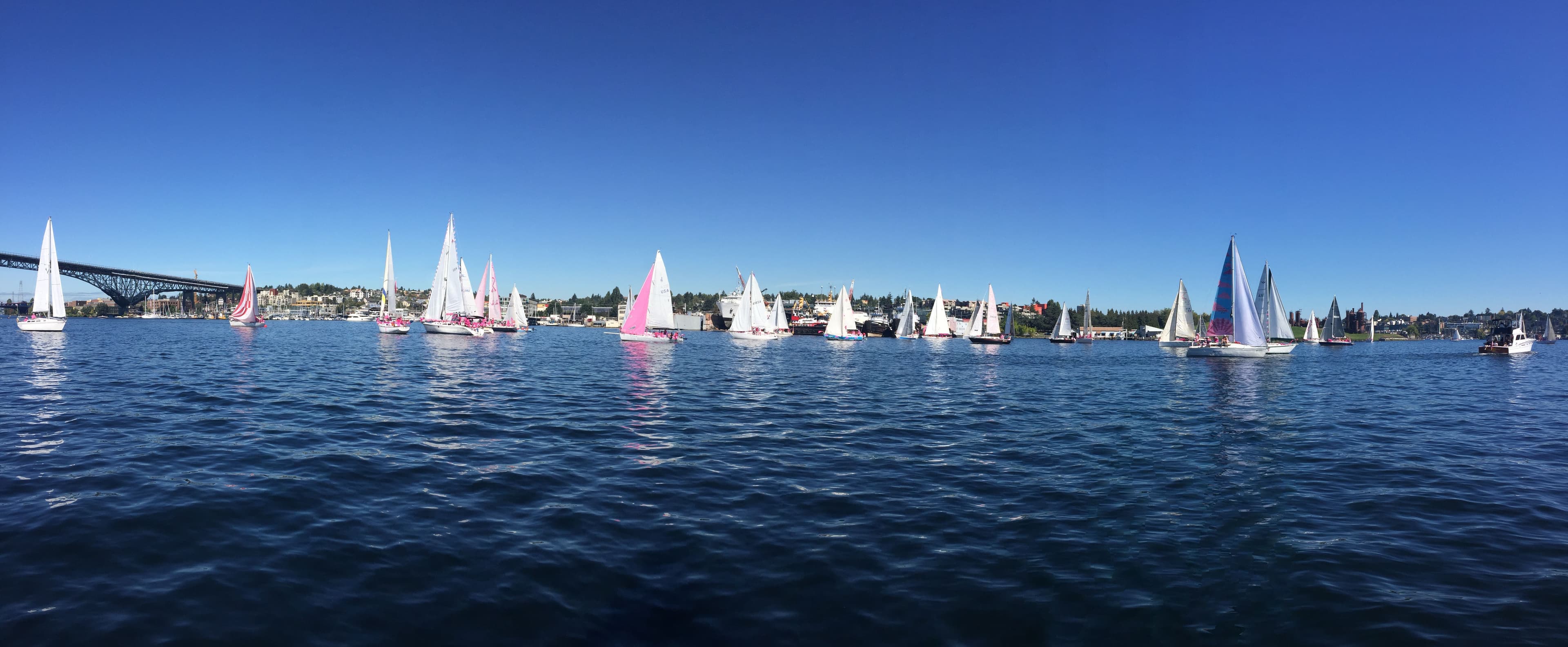 Pink Boat Regatta 2016