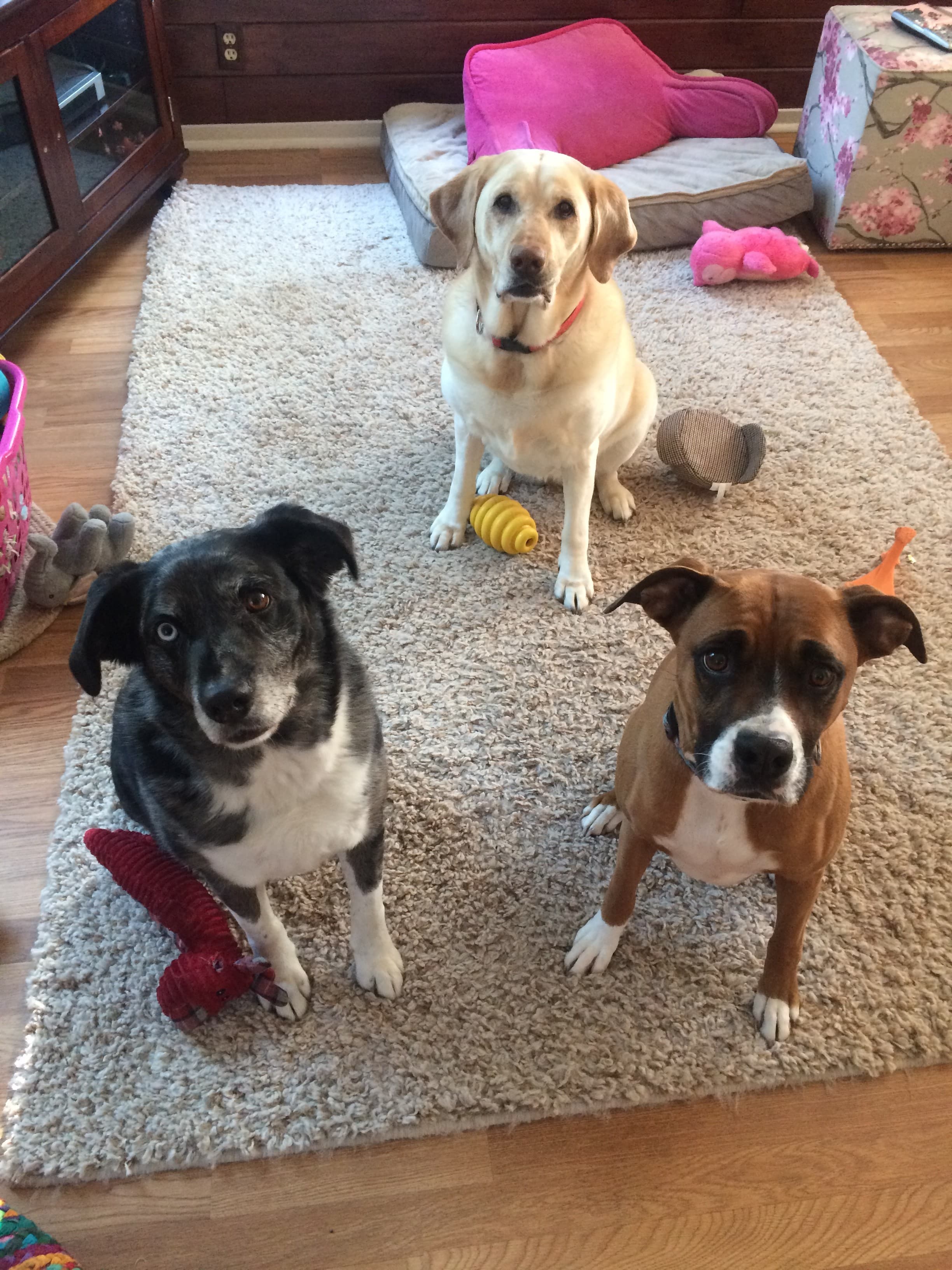 Sam hanging out with Bella and Mariah